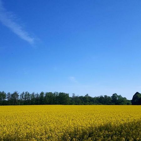 Ferienwohnung Urte In Putgarten , Kap Arkona Ruegen Extérieur photo