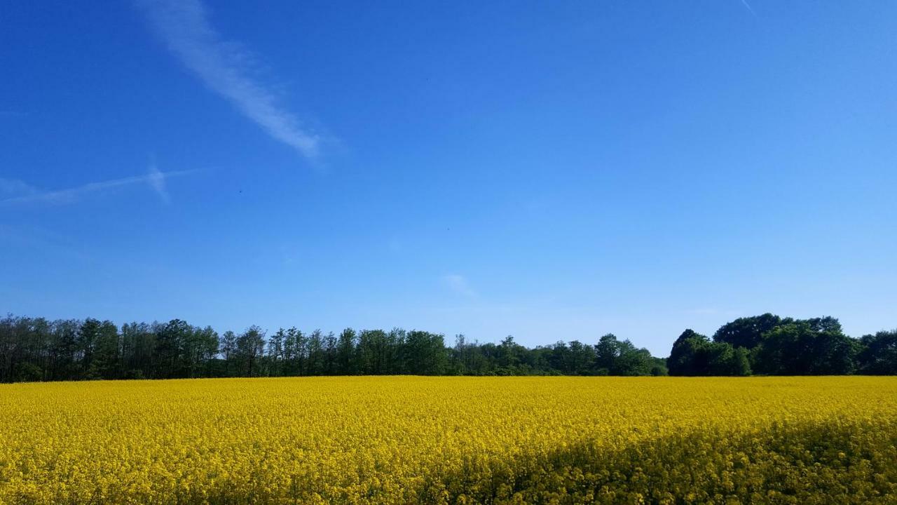 Ferienwohnung Urte In Putgarten , Kap Arkona Ruegen Extérieur photo